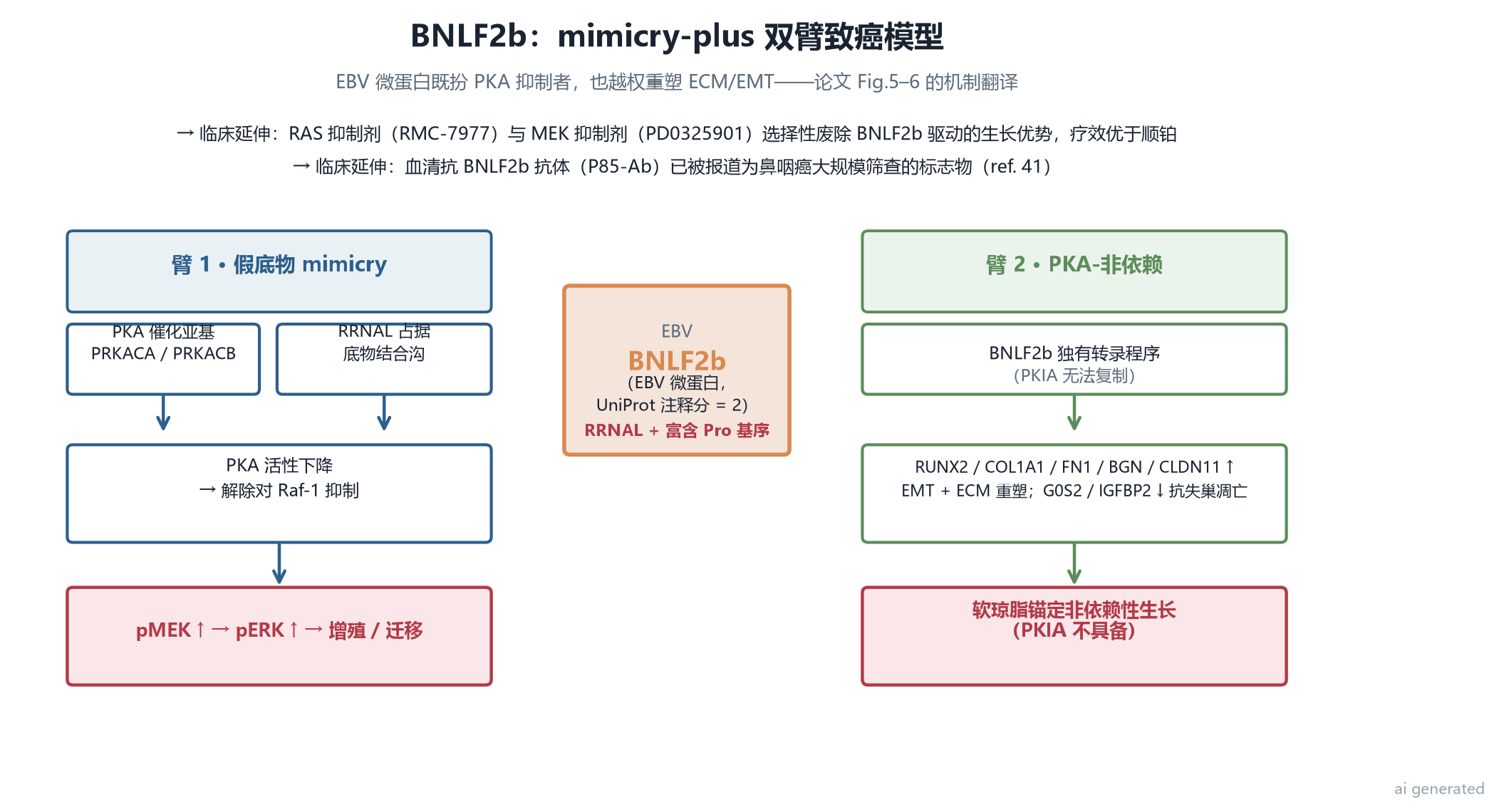 笔者自制:BNLF2b mimicry-plus 双臂模型