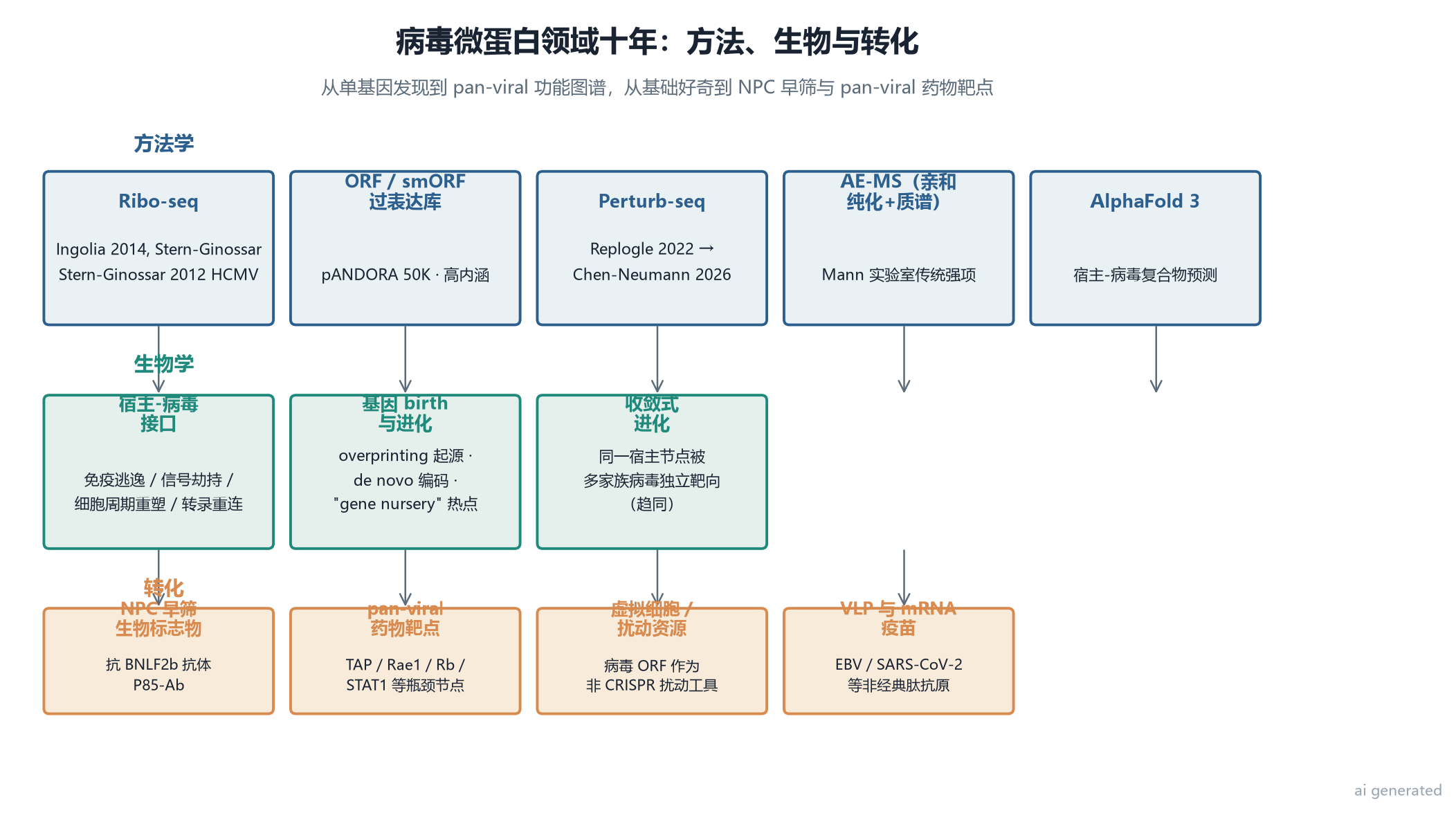 笔者自制:病毒微蛋白领域十年方法/生物/转化