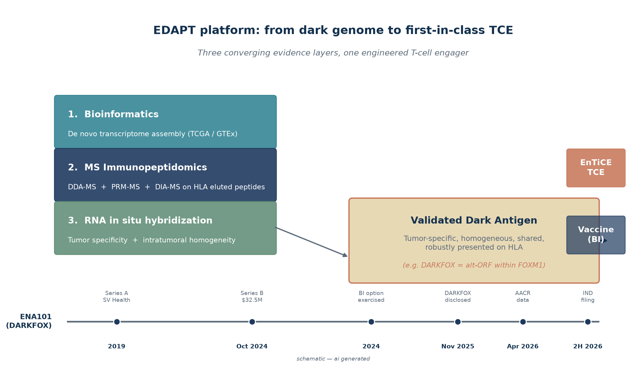 fig_enara_schematic