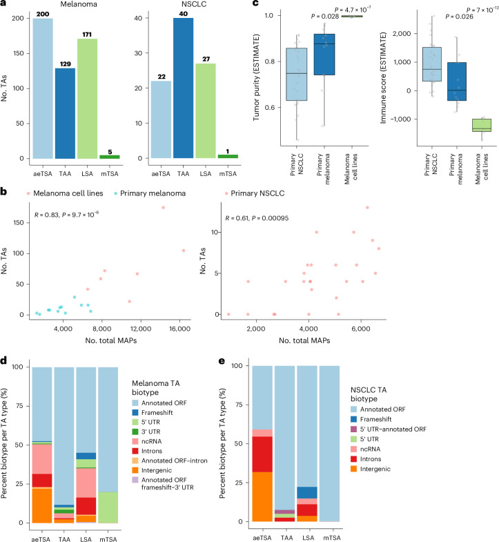epitopea_fig1_paper
