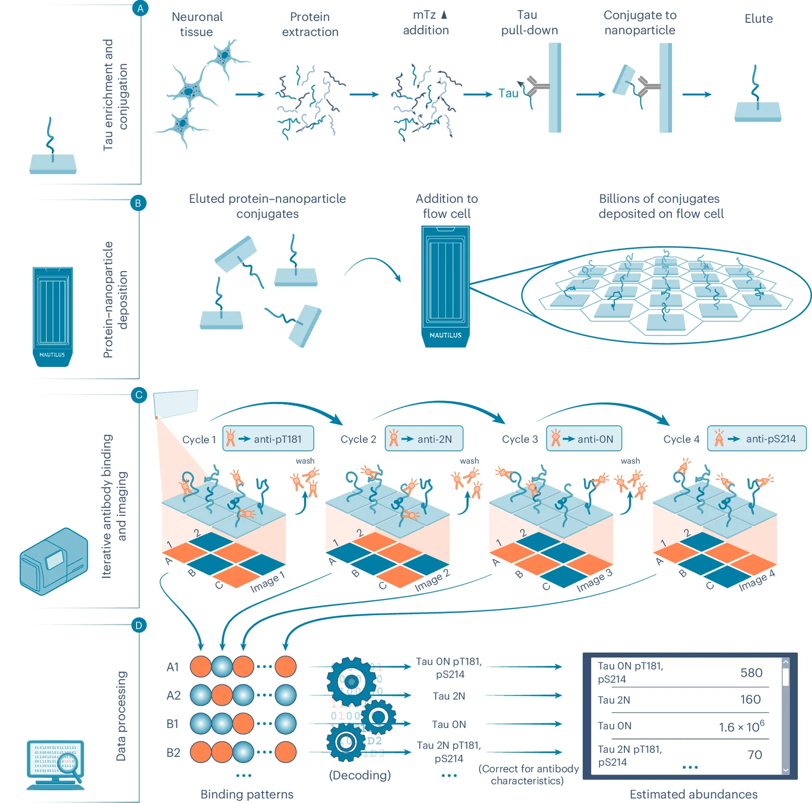 Iterative Mapping workflow