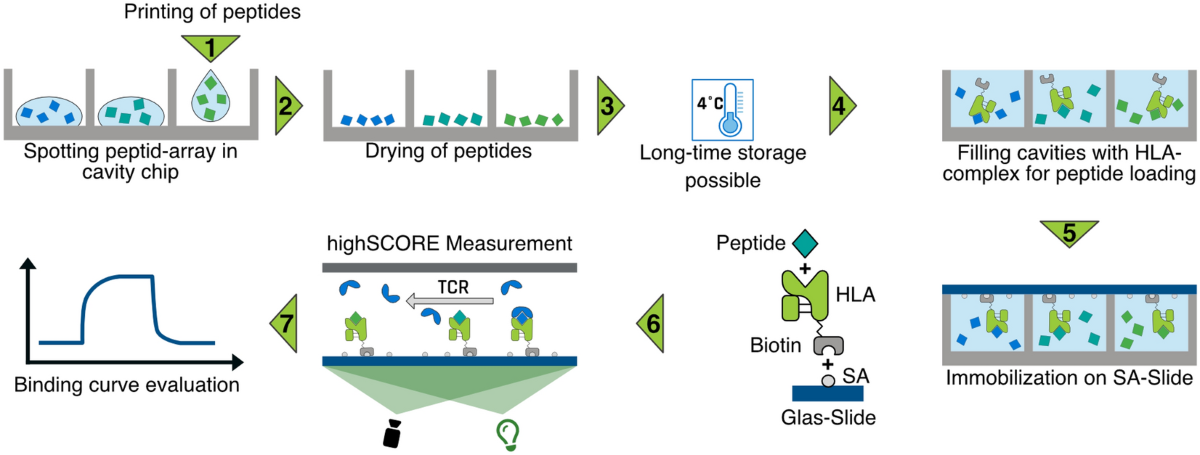 biocopy_fig_paper_1
