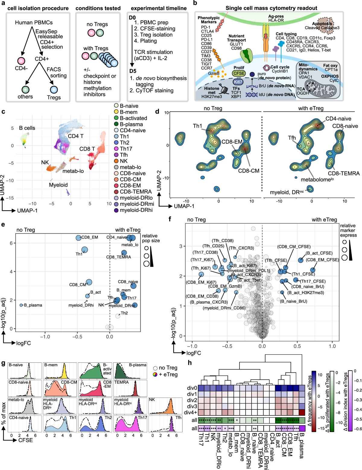 regcell_paper_1