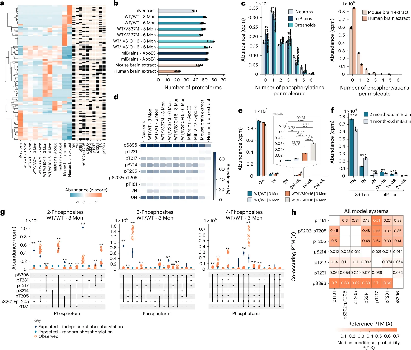 Tau proteoform profiles across model systems