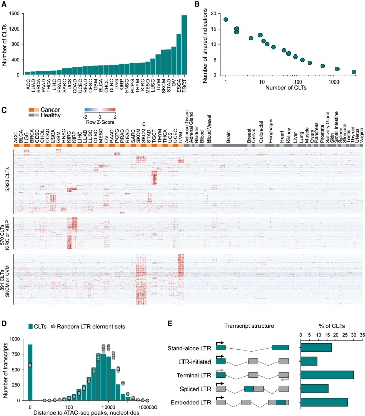 fig_paper_gr2019_f2