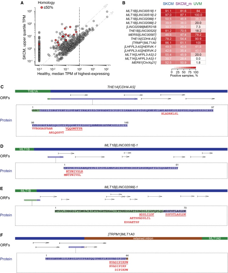 fig_paper_gr2019_f6