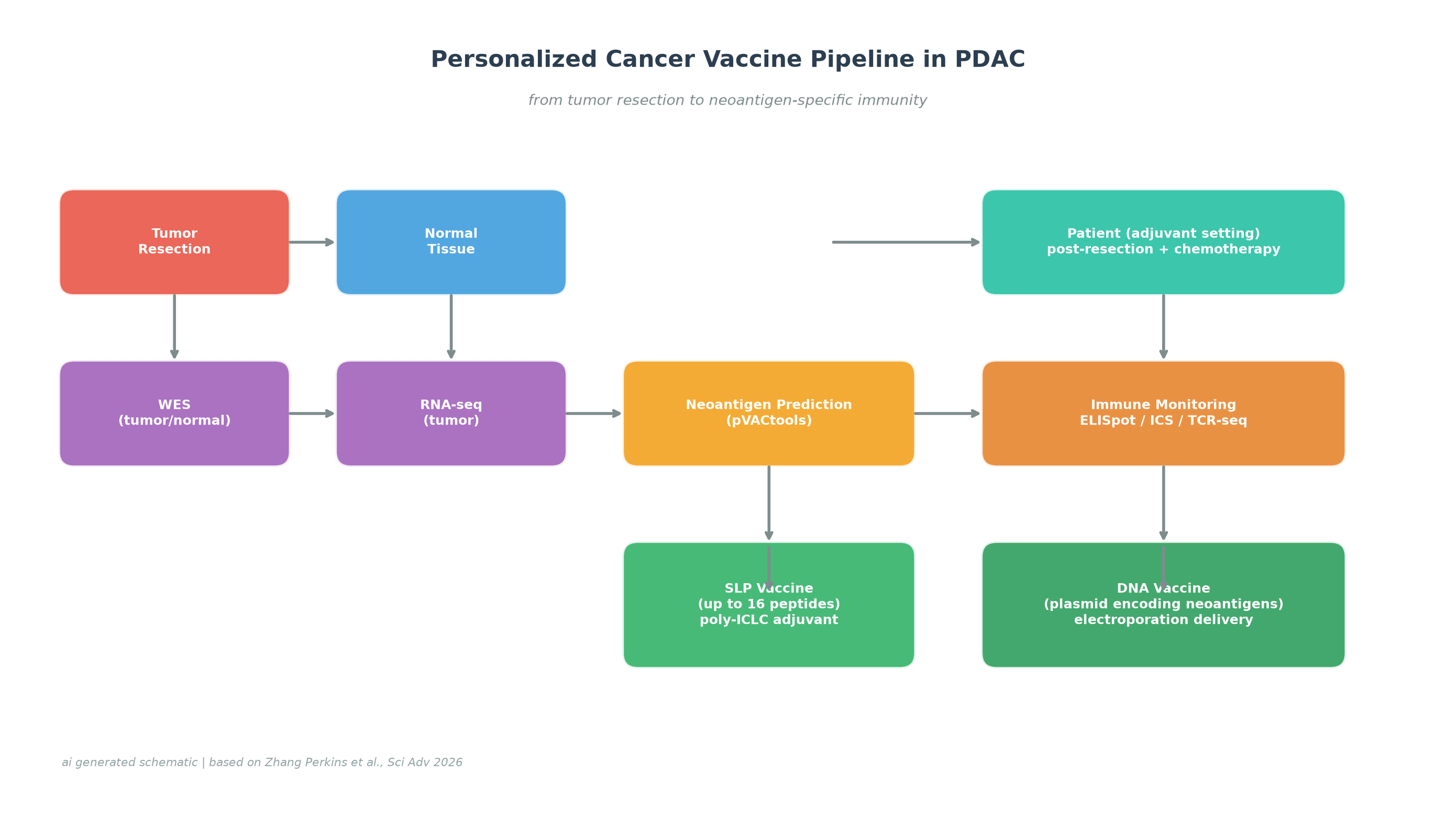 Schematic of personalized cancer vaccine pipeline