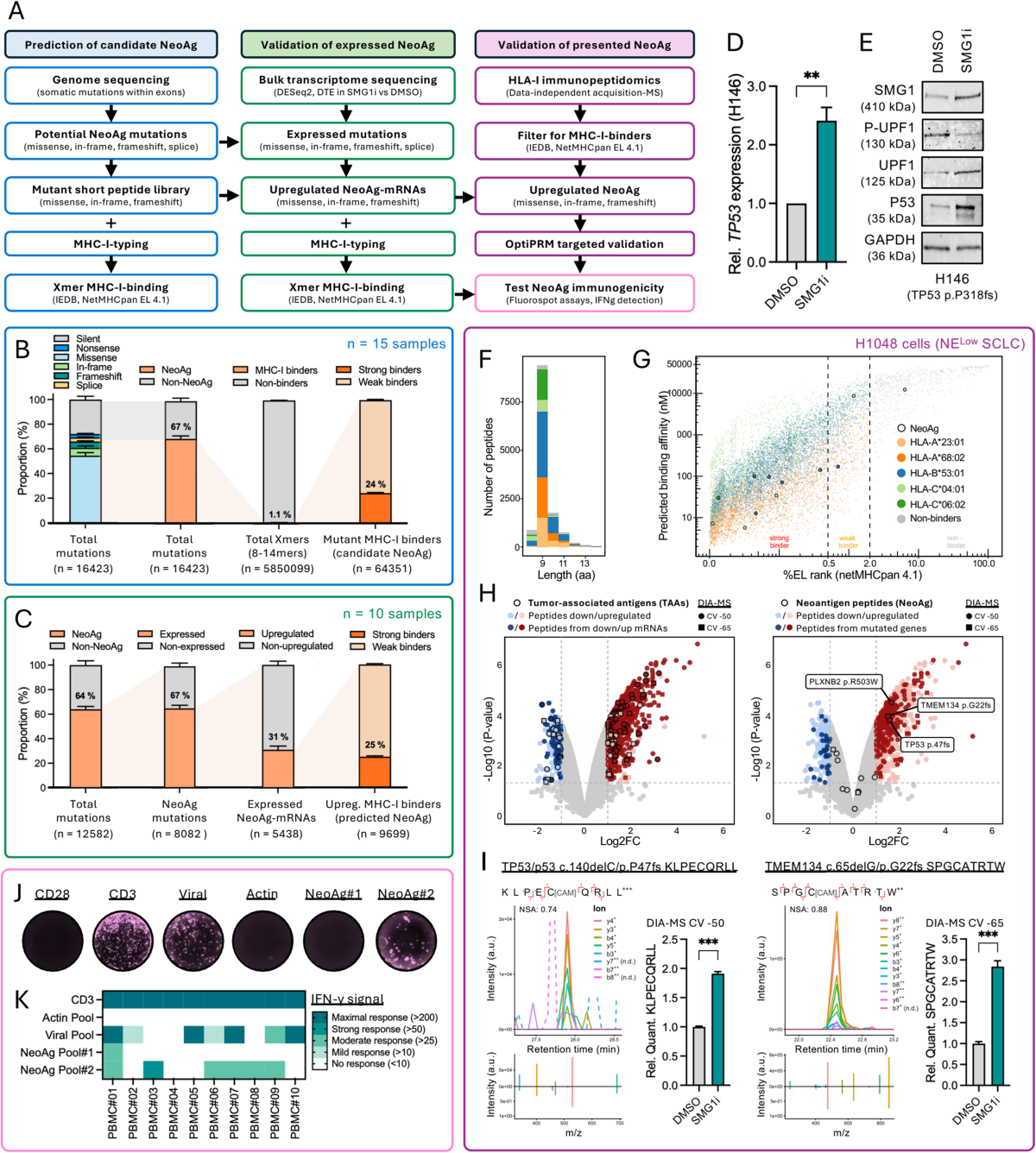 neoantigen identification workflow