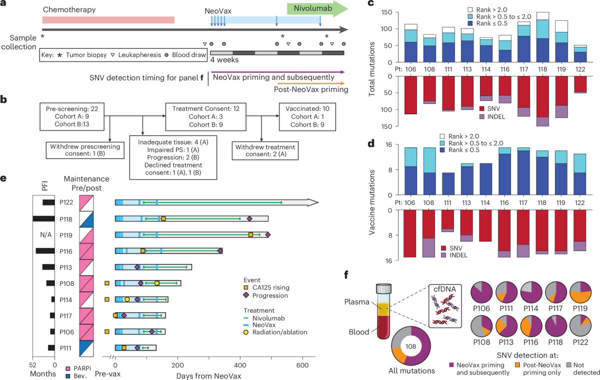 fig_neovax_ovarian_paper_1