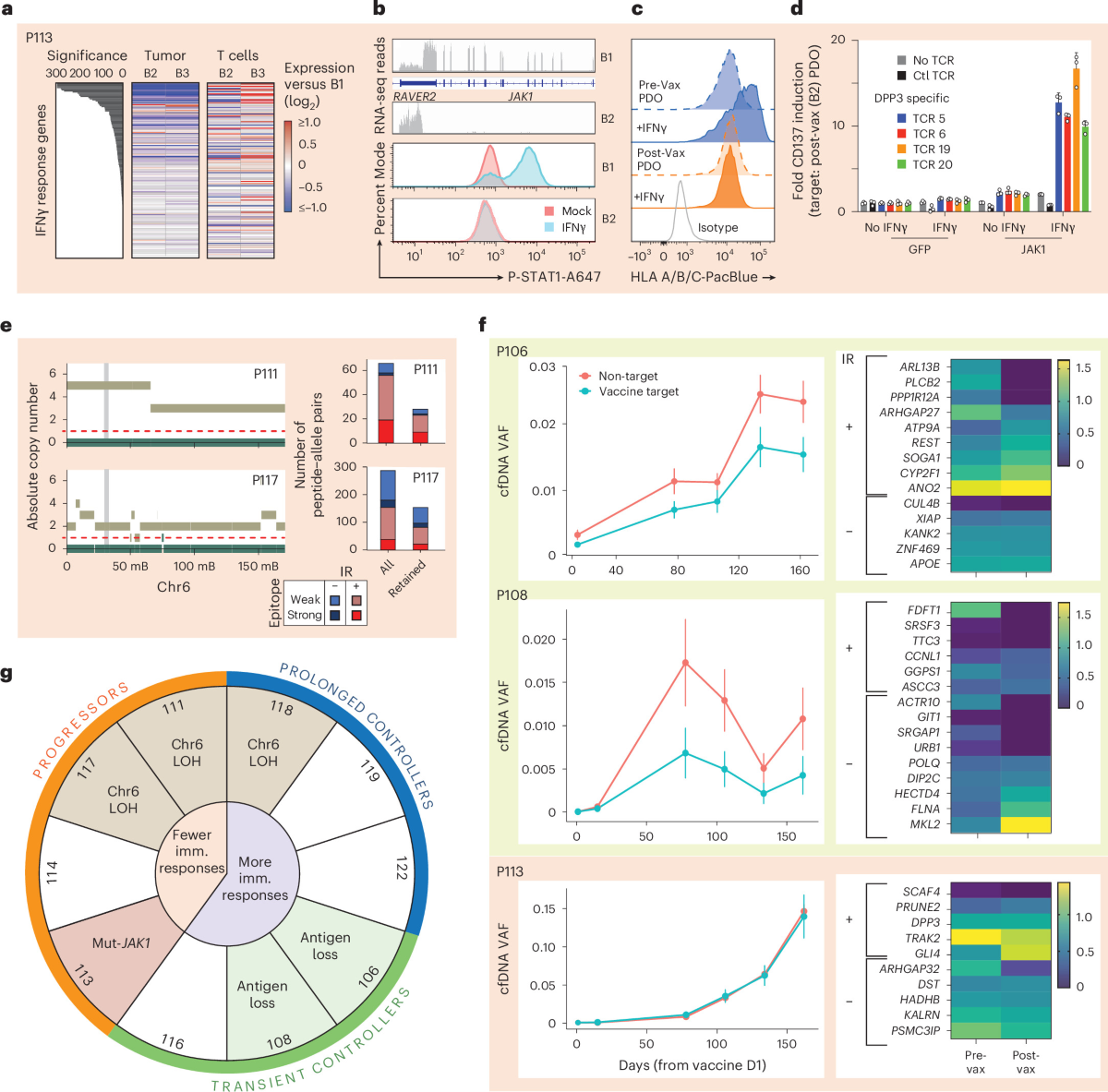 fig_neovax_ovarian_paper_4