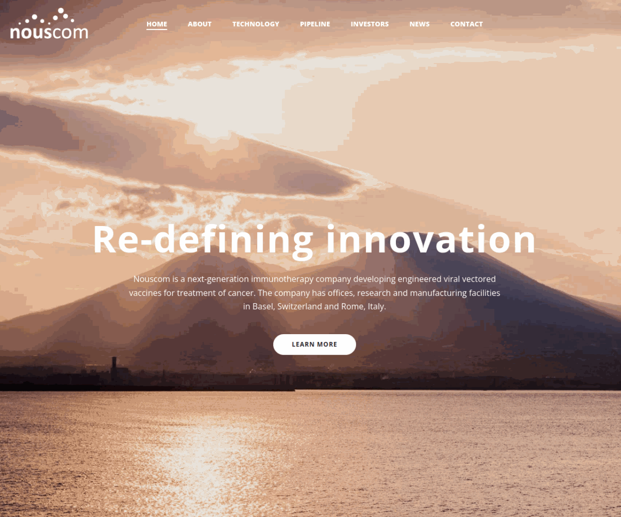 来源：nouscom.com 官网首页截图，访问于2026-10-20