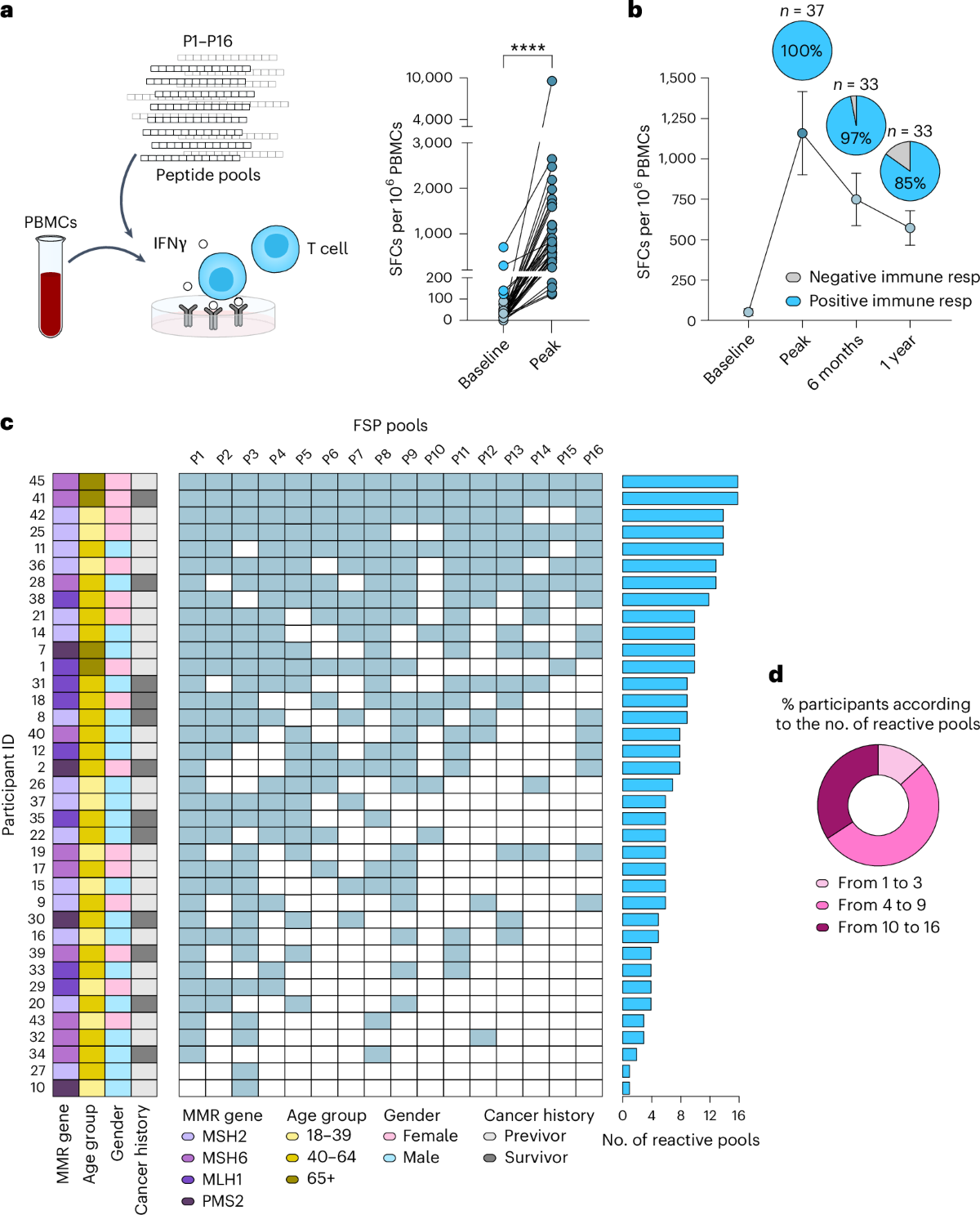 Figure 2 from D’Alise et al., Nature Medicine 32:1002–1011, 