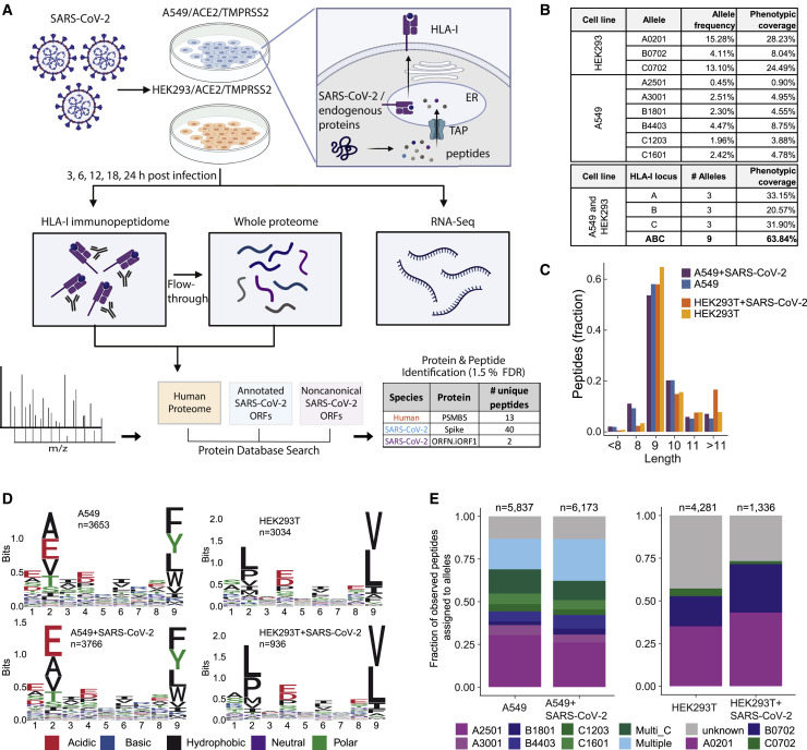 repertoire_cell2021_fig1