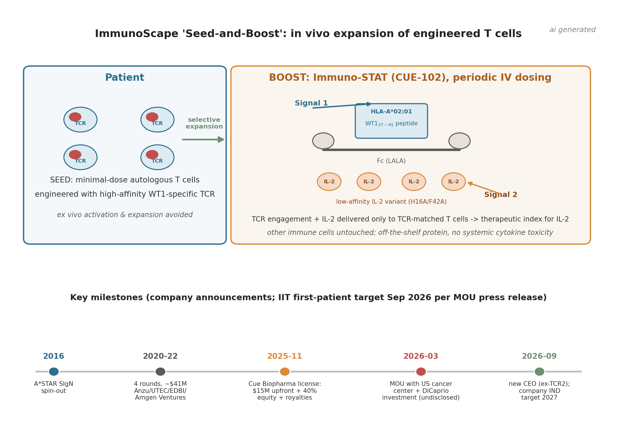 immunoscape_schematic_1