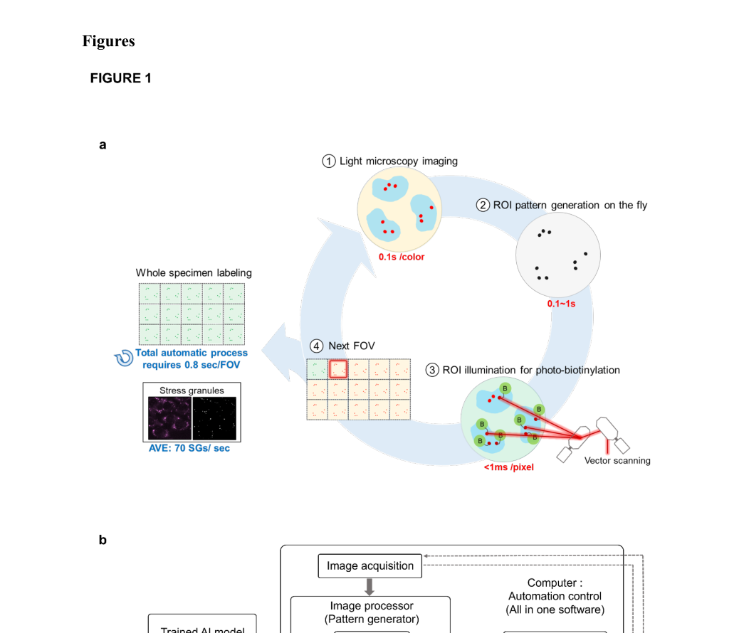 fig1