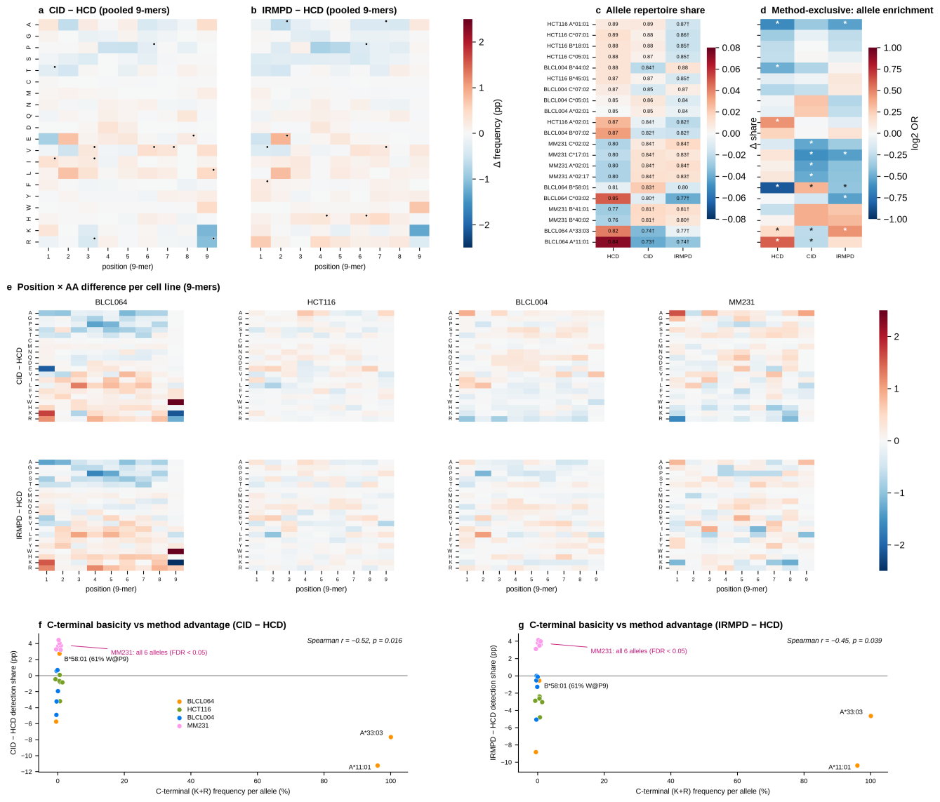 allele repertoire share and C-terminal basicity correlation