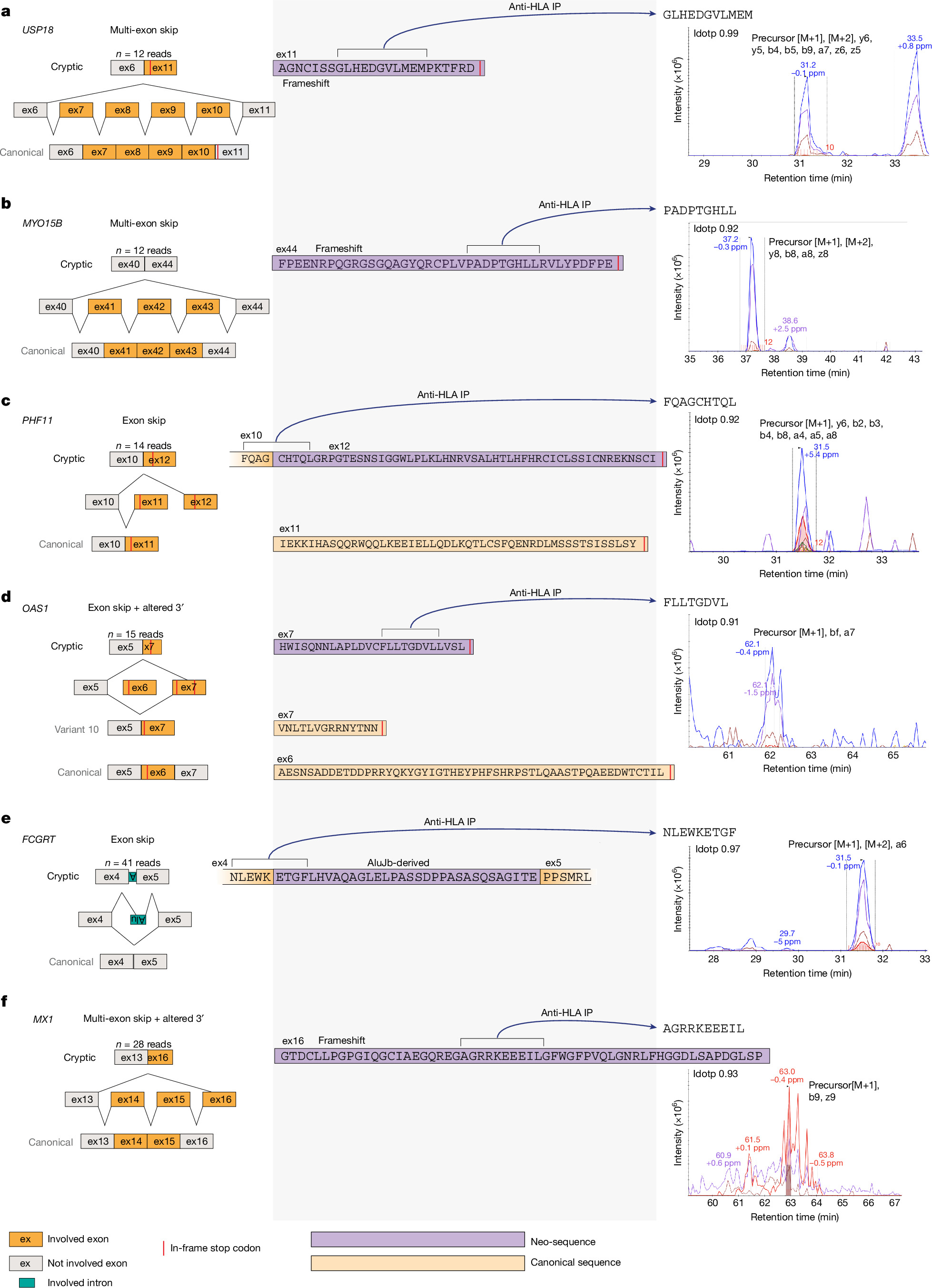 lupus_fig3_paper