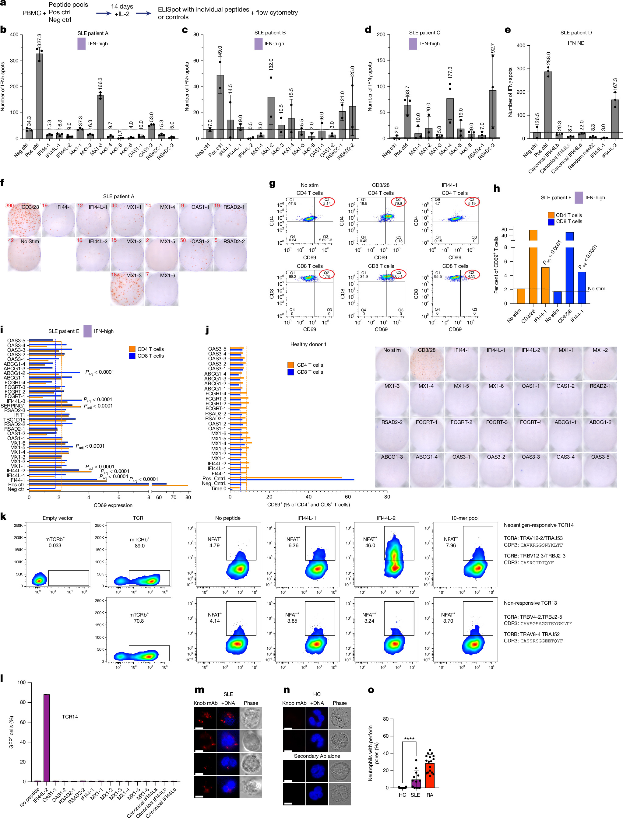 lupus_fig5_paper