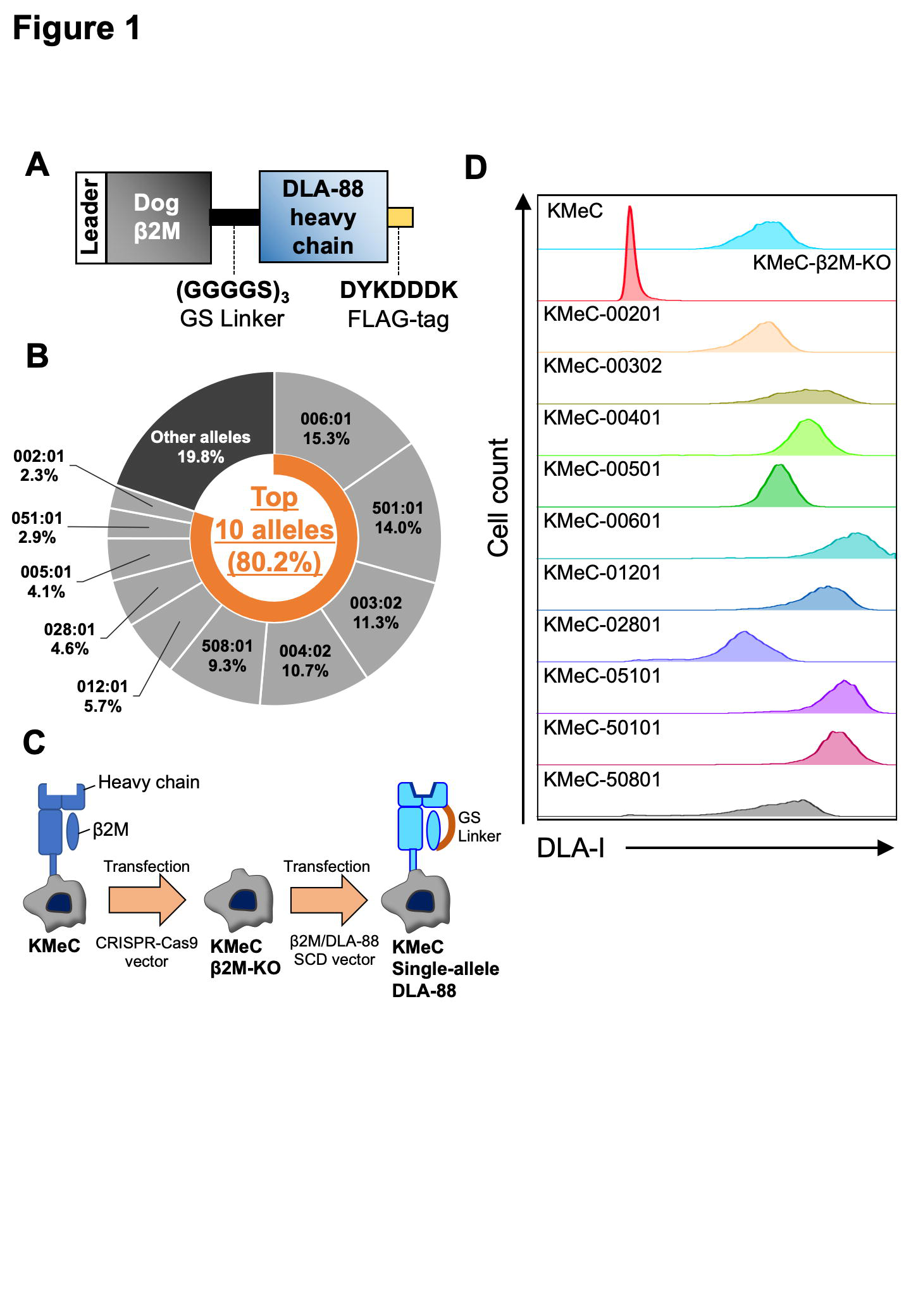fig_canine_dla_paper_1